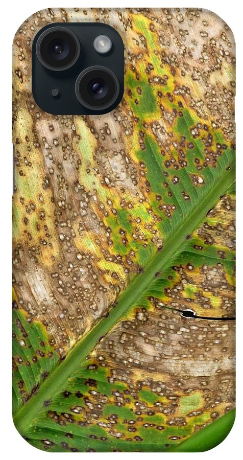 Leaf iPhone Case featuring the digital art Leaf Textures 1 by Maria Huntley