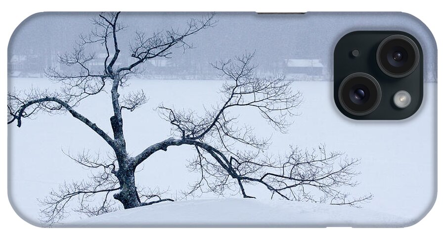 2014 iPhone Case featuring the photograph Lean on Me by Ann Murphy