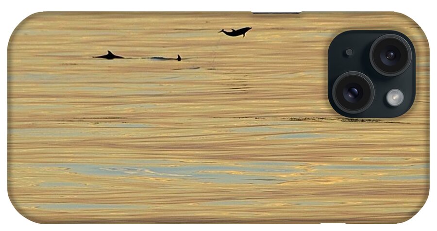 Dolphin iPhone Case featuring the photograph Leaping Dolphin and Golden Sea by Bradford Martin