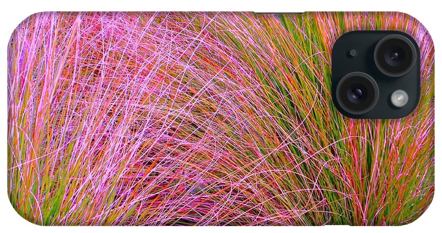 Leaf iPhone Case featuring the photograph Leaves of Grass by Ann Johndro-Collins