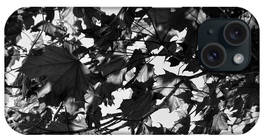 Leaves iPhone Case featuring the photograph Leaves on a Tree ll by Laura Wong-Rose