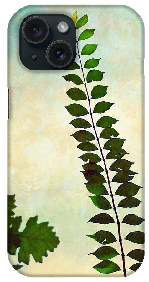 Leaves iPhone Case featuring the photograph Leaves Reaching To The Sky by Kerri Farley