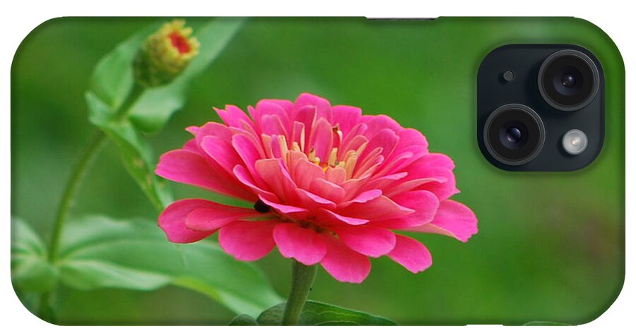 Pink iPhone Case featuring the photograph Legacy by Bob Sample