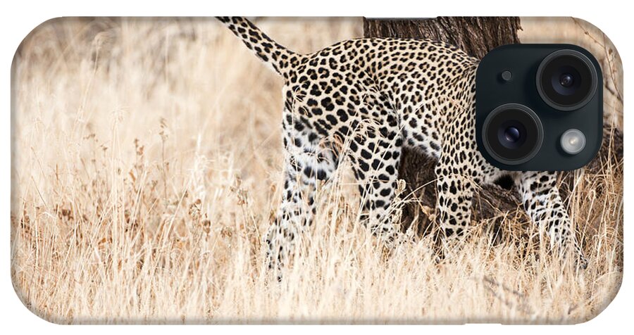 Leopard iPhone Case featuring the photograph Leopard 1 by Eyal Bartov