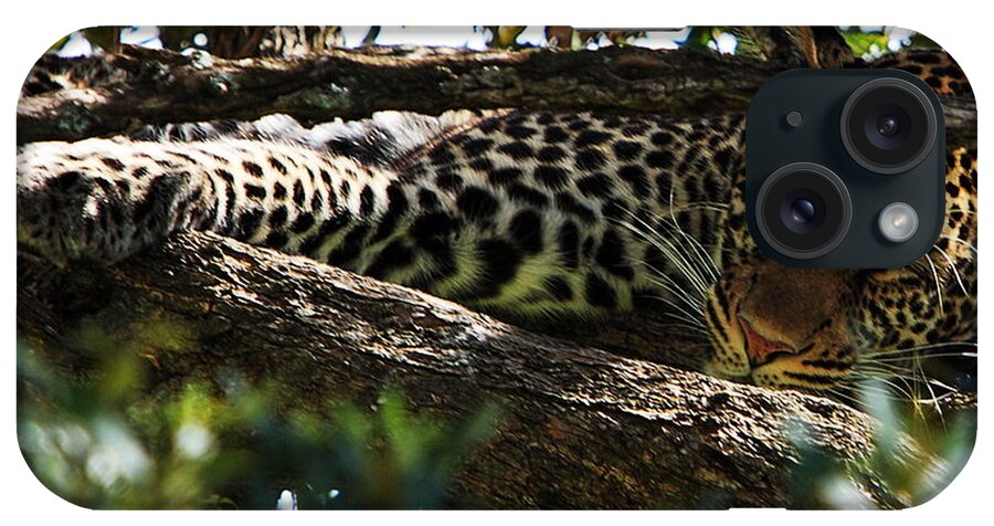 Leopard iPhone Case featuring the photograph Leopard In A Tree by Aidan Moran