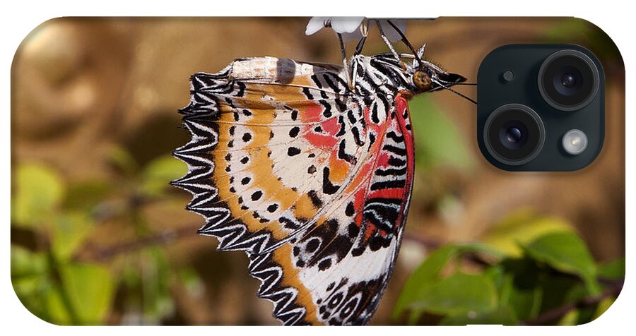 Scenic iPhone Case featuring the photograph Leopard Lacewing Butterfly DTHU619 by Gerry Gantt
