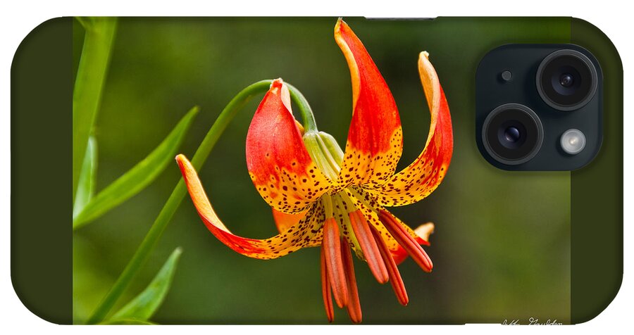 Beauty In Nature iPhone Case featuring the photograph Leopard Lily in Bloom by Jeff Goulden