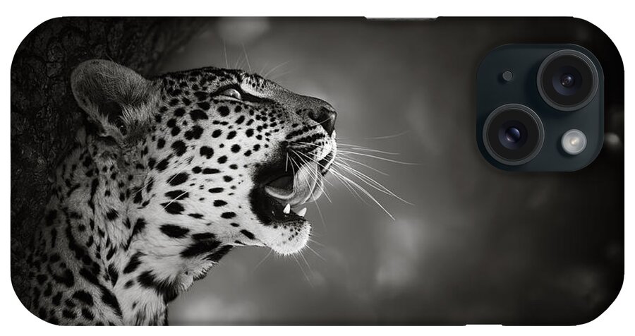 Leopard iPhone Case featuring the photograph Leopard portrait by Johan Swanepoel