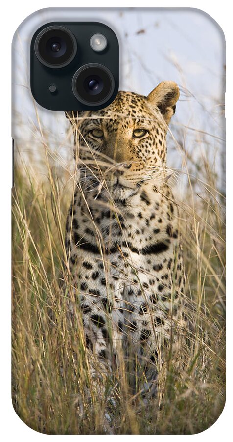 Flpa iPhone Case featuring the photograph Leopard Stalking Masai Mara Kenya by Elliott Neep