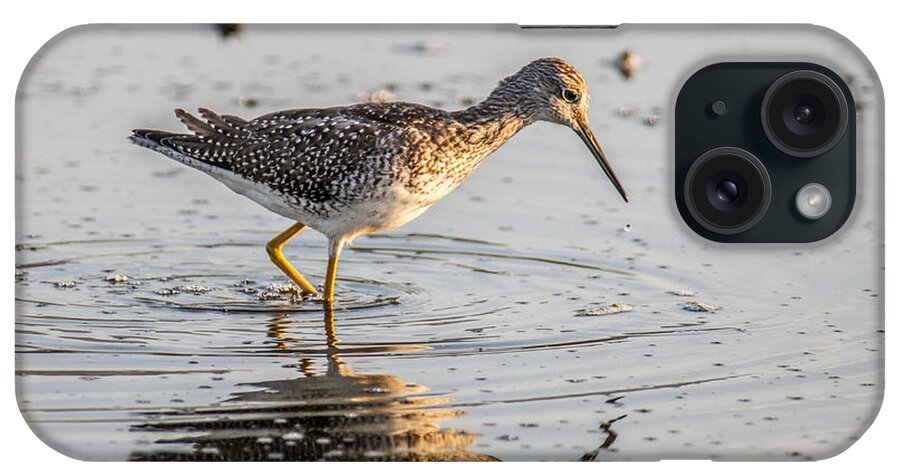 Shore Bird iPhone Case featuring the photograph Lesser Yellowlegs by Cathy Kovarik