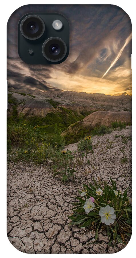 Badlands National Park iPhone Case featuring the photograph Life Finds A Way by Aaron J Groen