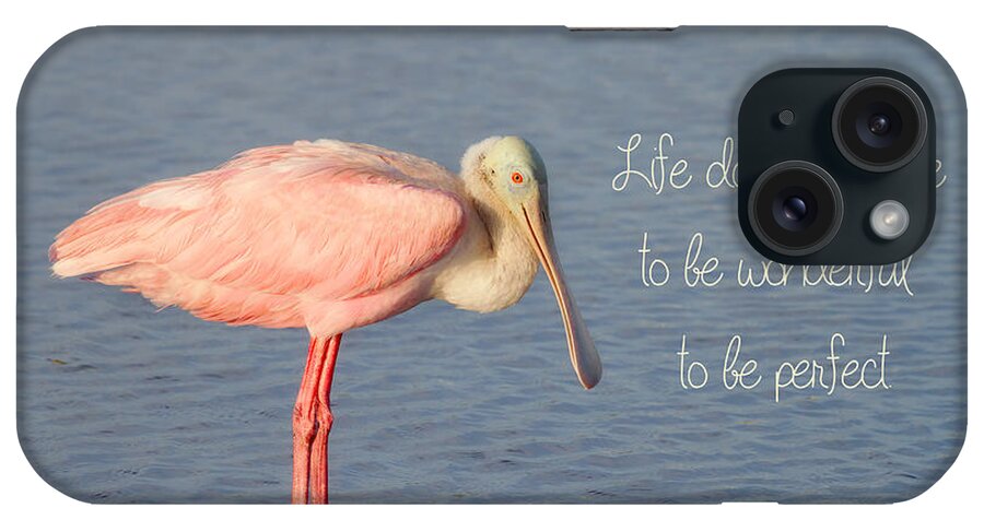 Roseate Spoonbill iPhone Case featuring the photograph Life Wonderful and Perfect by Kim Hojnacki