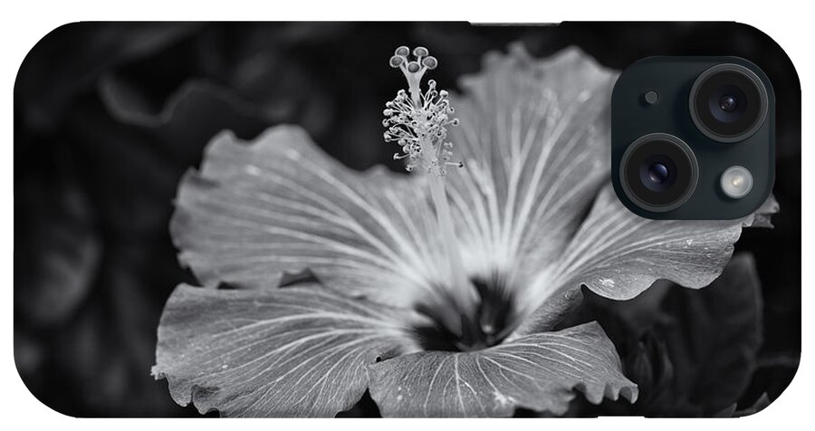 Hibiscus iPhone Case featuring the photograph Light Magnets... by Dan Hefle