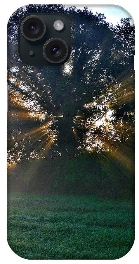 Light iPhone Case featuring the photograph Light Shaft Tree by Henry Kowalski