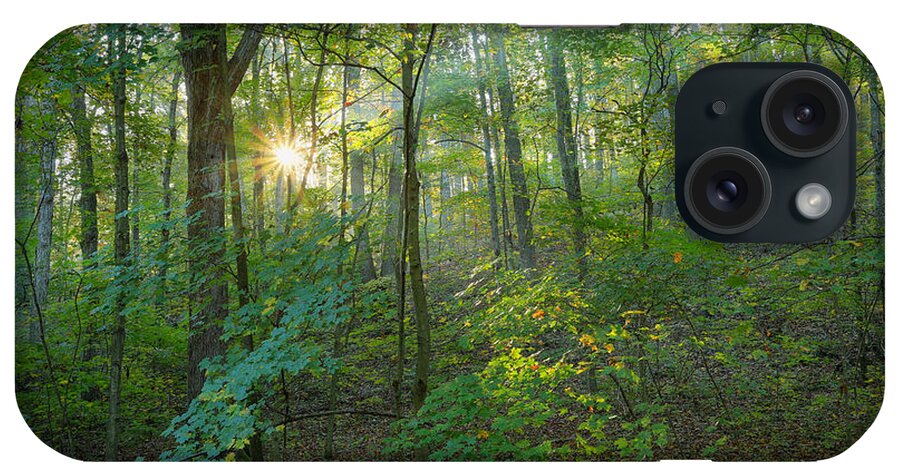 Forest iPhone Case featuring the photograph Light Up The Forest by Jaki Miller