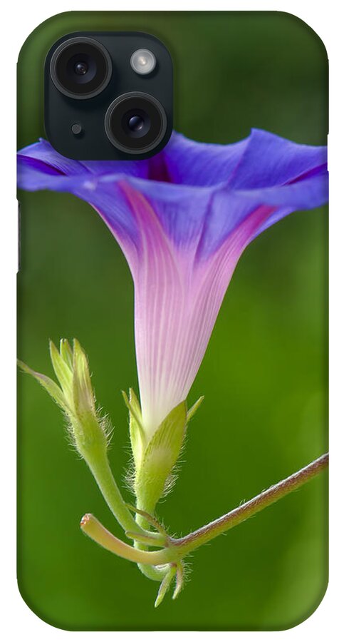 Morning Glory iPhone Case featuring the photograph Lightened by Jean-Pierre Ducondi