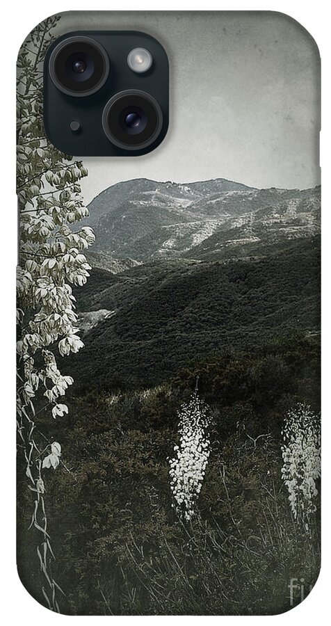 Wildflowers iPhone Case featuring the photograph Lighting the Way by Parrish Todd