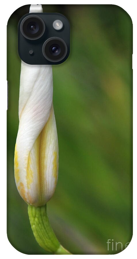 Flower iPhone Case featuring the photograph Like A Rocket by Dan Holm