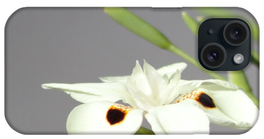 Lovely Looking Flower iPhone Case featuring the photograph Like A Star by Debra   Vatalaro