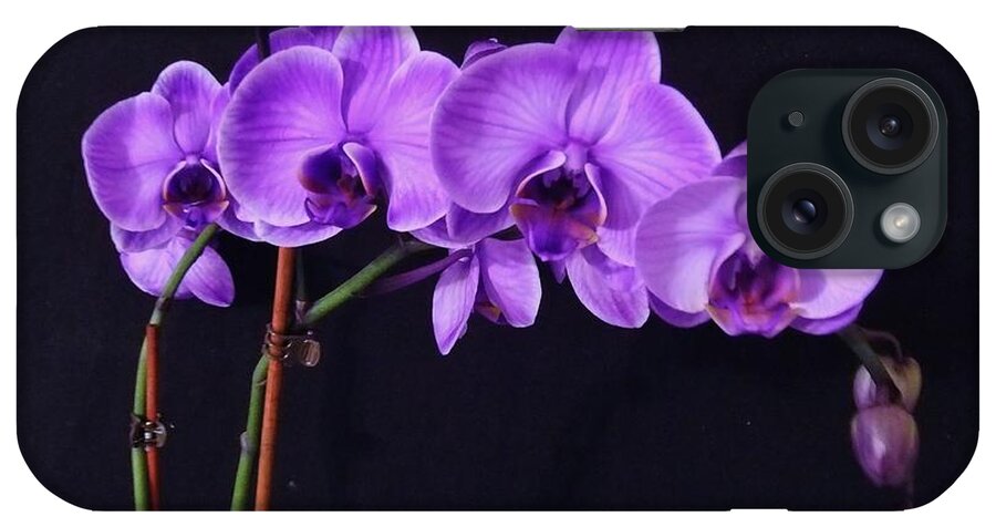 Orchid iPhone Case featuring the photograph Lilac Amethyst Orchid by Cindy Micklos