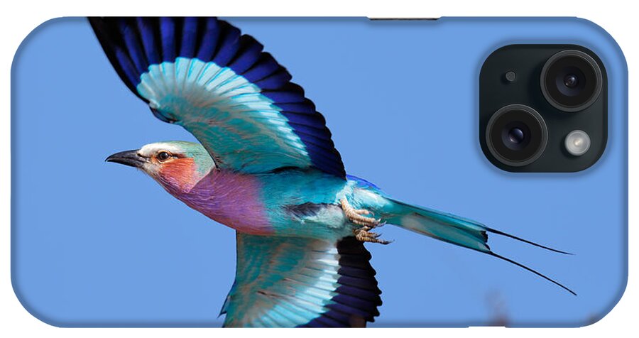 Lilac-breasted iPhone Case featuring the photograph Lilac-breasted Roller in flight by Johan Swanepoel