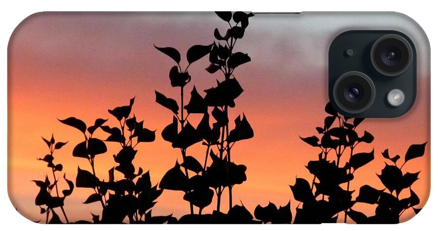 Lilac Leaves Silhouette iPhone Case featuring the photograph Lilac Leaves Silhouette by Will Borden