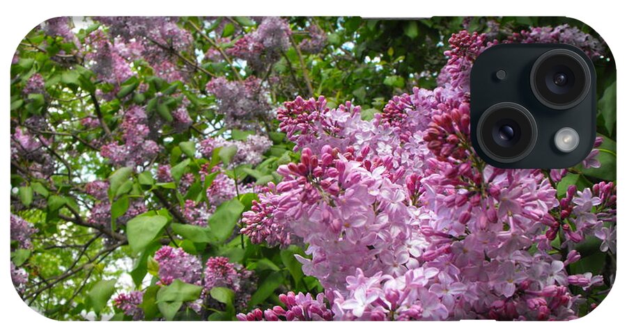 Flower iPhone Case featuring the photograph Lilacs by Erick Schmidt