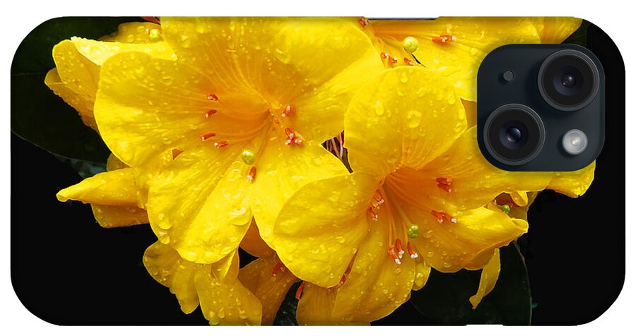 Yellow iPhone Case featuring the digital art Lilies by Kathleen Illes
