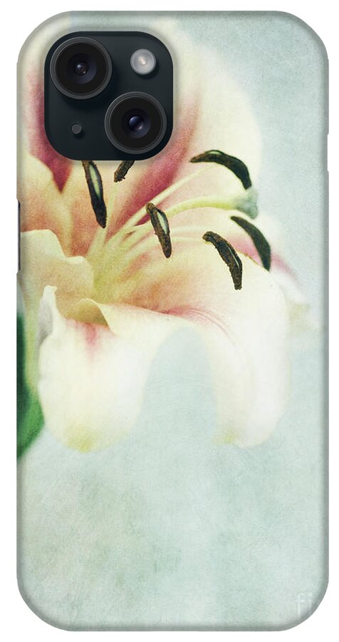 Lily iPhone Case featuring the photograph Lilium by Priska Wettstein