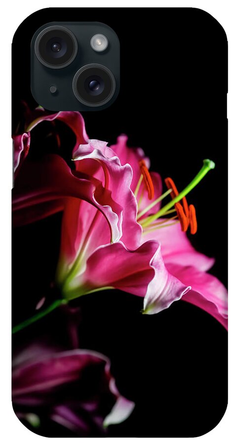 Black Background iPhone Case featuring the photograph Lily Flowers Against Black Background by Westend61