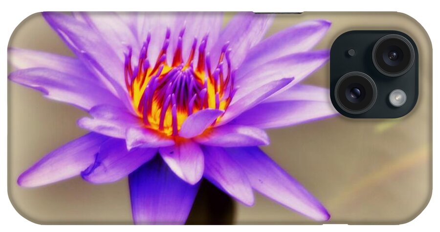 Waterlily iPhone Case featuring the photograph Lily by Nona Kumah