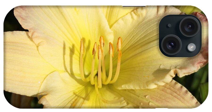 Lily iPhone Case featuring the photograph Lily Square by Kristy Jeppson