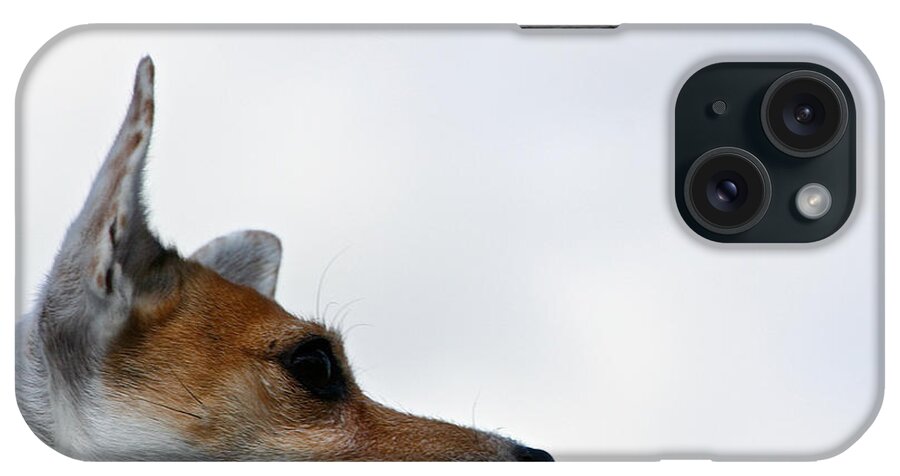 Dog iPhone Case featuring the photograph Limitless by Susan Herber