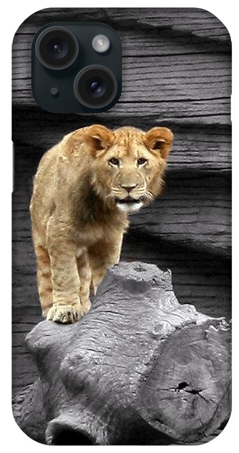 Zoos. Lions iPhone Case featuring the photograph Lion Cub by Cathy Harper