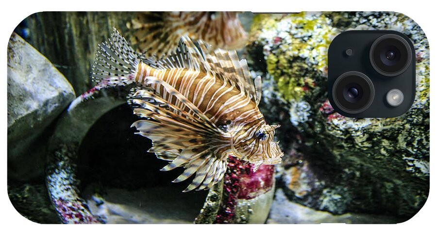 Lion-fish iPhone Case featuring the photograph Lion Fish by Chris Smith
