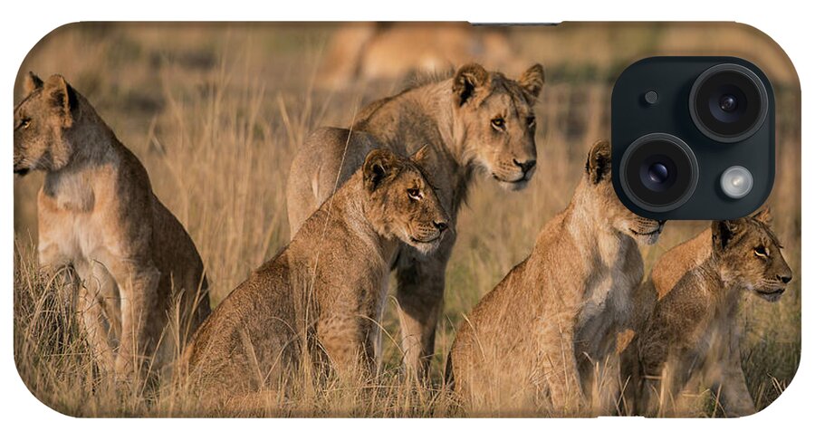 Kenya iPhone Case featuring the photograph Lions Enjoying Early Morning Sun by Manoj Shah