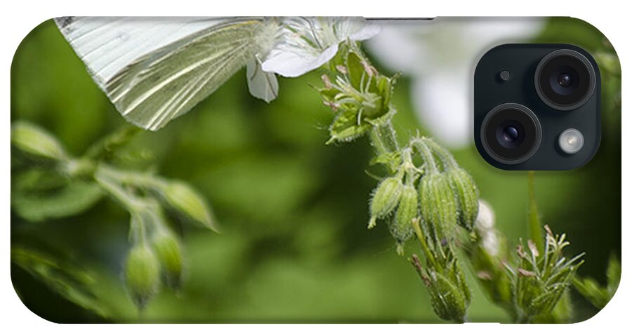 Butterfly iPhone Case featuring the photograph Little Butterfly by Spikey Mouse Photography