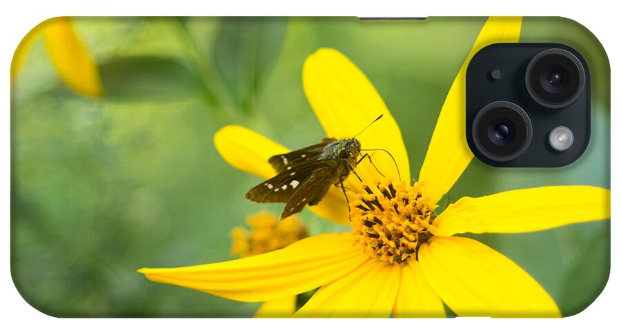Butterfly iPhone Case featuring the photograph Little Butterfly on Bright Yellow Flower by Beverly Claire Kaiya