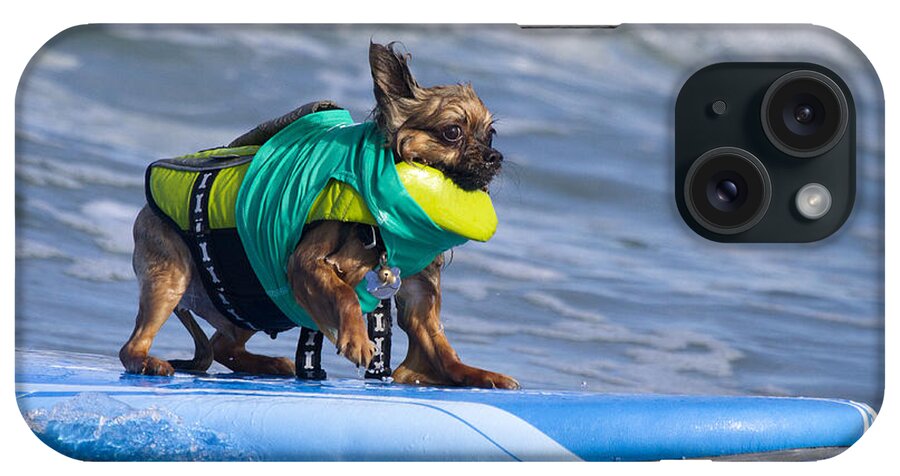 Surfer iPhone Case featuring the photograph Little Doggie on surfboard by Nathan Rupert