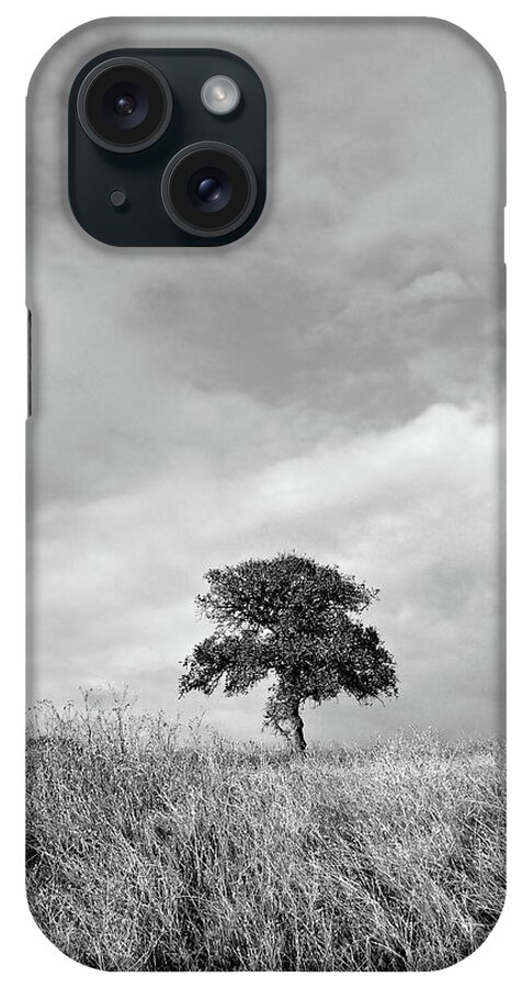 Black And White iPhone Case featuring the photograph Little Lone Oak Tree by Pamela Patch