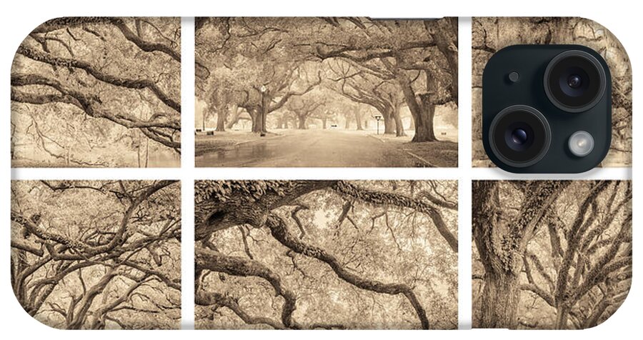 New Orleans iPhone Case featuring the photograph Live Oaks of New Orleans by Scott Rackers