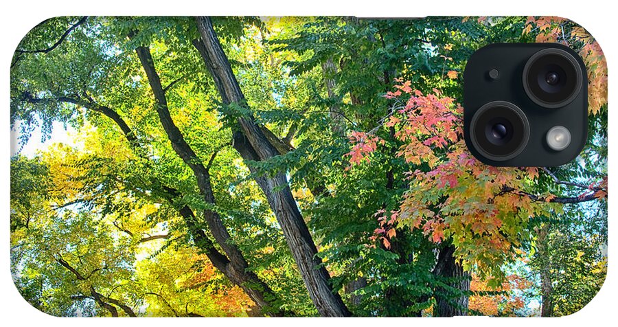 Autumn iPhone Case featuring the photograph Local Fall Foliage by James BO Insogna