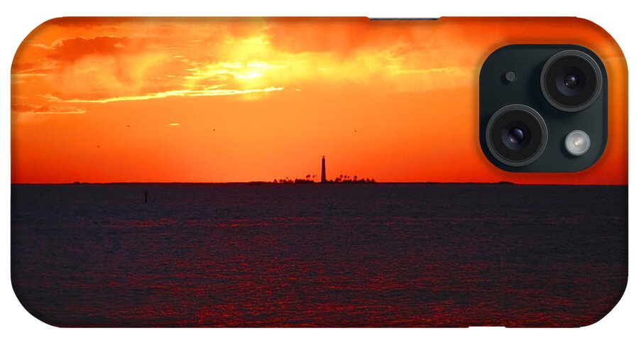 Sandy iPhone Case featuring the photograph Loggerhead by Capt Pat Moran