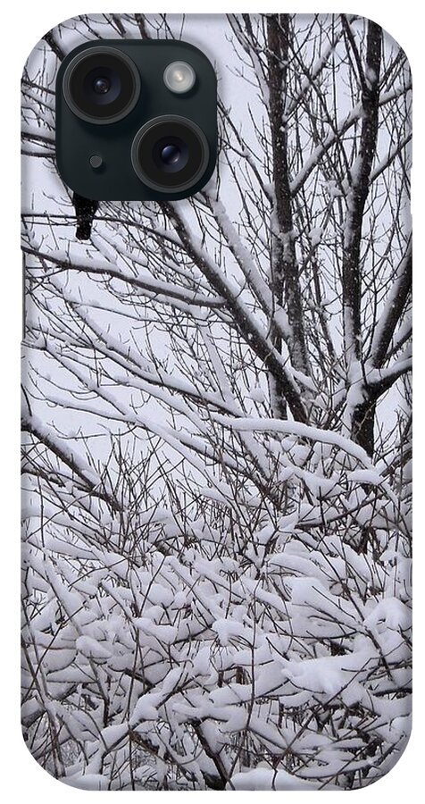 Bird iPhone Case featuring the photograph Lone Crow by Doris Potter