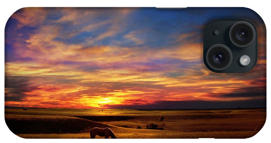 Horse iPhone Case featuring the photograph Lone Horse Greenwood County by Rod Seel