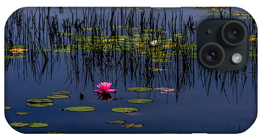 New Jersey iPhone Case featuring the photograph Lone Pink Water Lily by Louis Dallara