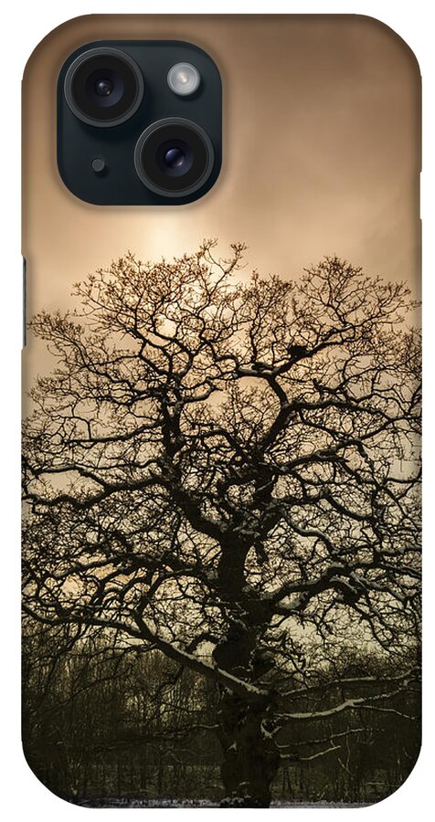 Tree iPhone Case featuring the photograph Lone Tree by Amanda Elwell