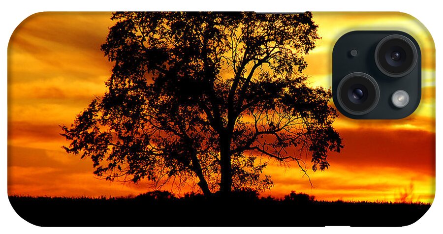 Tree iPhone Case featuring the photograph Lone Tree by Mary Carol Story