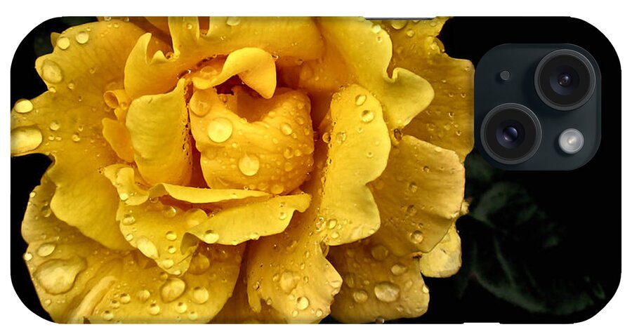 Yellow Rose Digital Art iPhone Case featuring the photograph Lone Yellow Rose by Stephanie Hollingsworth