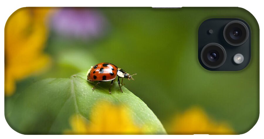 Ladybug iPhone Case featuring the photograph Lonely Ladybug by Christina Rollo